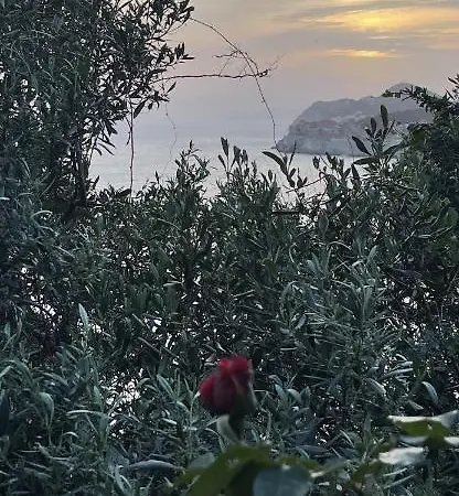 圣亚科弗宾客旅馆 招待所 3*