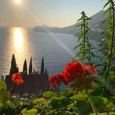 Guest Sveti Jakov Affittacamere 3*